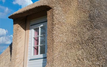 Bankland thatch roof disadvantages